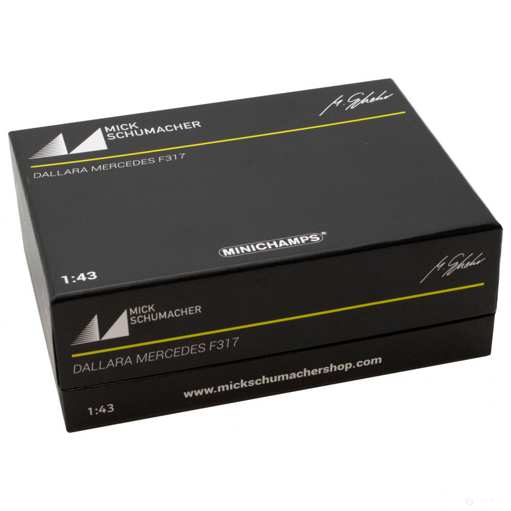 Voiture modèle, Mick Schumacher Dallara Mercedes F317 F3 European Champion 2018, 1:43, Blanc, 2018 - FansBRANDS®