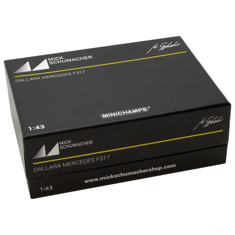 Voiture modèle, Mick Schumacher Dallara Mercedes F317 F3 European Champion 2018, 1:43, Blanc, 2018 - FansBRANDS®