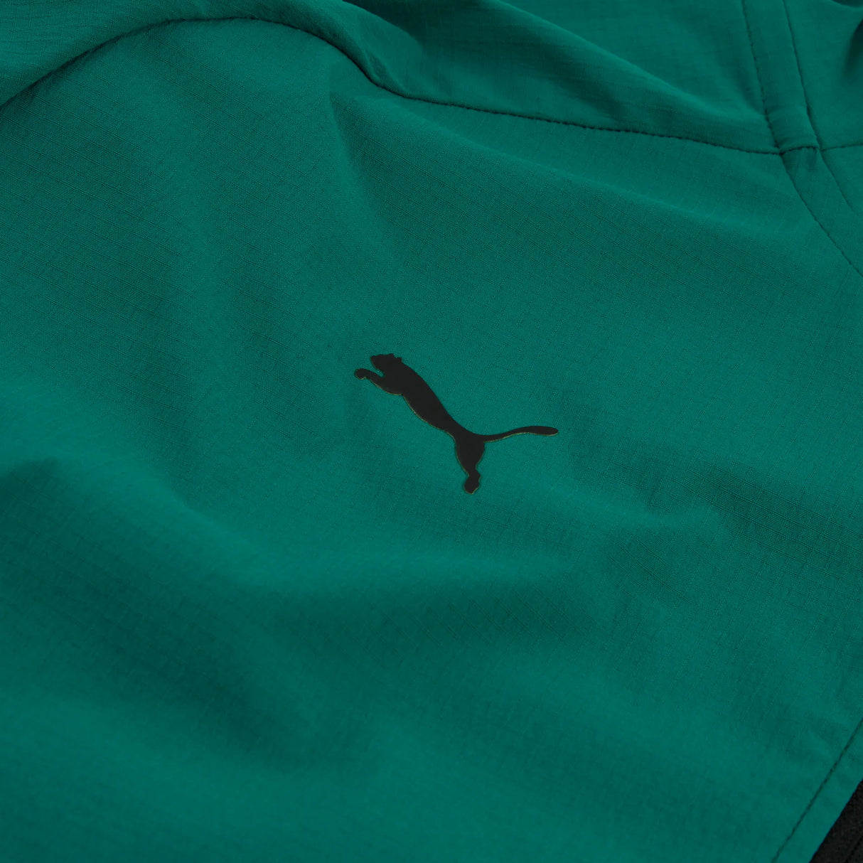 Veste Aston Martin, Puma, Lifestyle, PUMATECH, vert 🔥