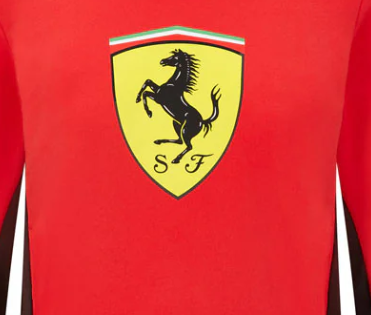 Sudadera infantil Ferrari, Escudo, roja, 2021