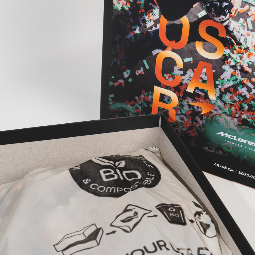 <title>Équipe McLaren Formula 1®, Puzzle, Oscar Piastri, Première victoire au Grand Prix, 1000 pièces</title>