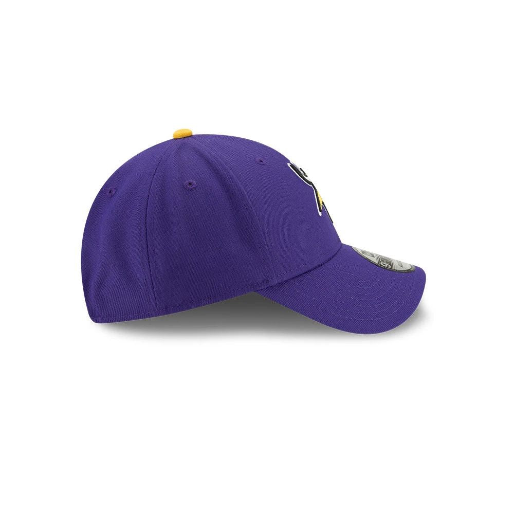 NFL Minnesota Vikings Casquette Team