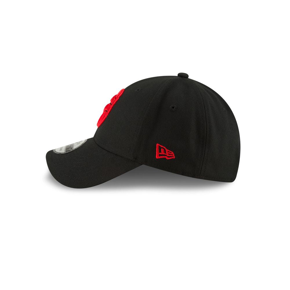 NBA Toronto Raptors Team Cap
